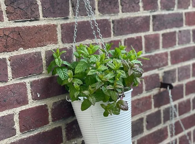 Le First, Centre Terrasse Et Parking 鲁昂